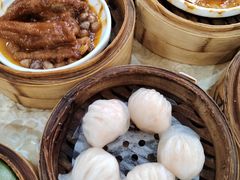 -宝塘茶楼