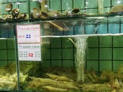 -海岛渔村大酒店(云霄路店)