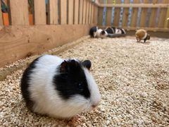 -龙湖西安曲江天街