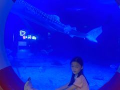 -烟台海昌鲸鲨海洋公园