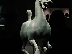 -甘肃省博物馆