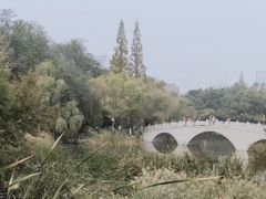 -大连植物园