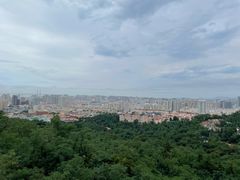 -青岛中山公园-索道售票处