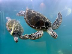 -青岛海底世界-水族馆