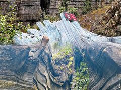 -梭布垭石林景区