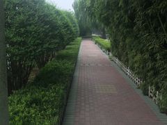 -古车博物馆
