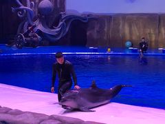 -华夏文旅海洋公园