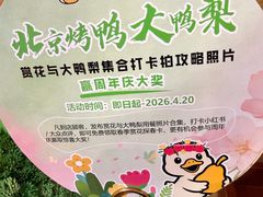 -大鸭梨烤鸭(房山店)