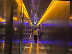 -索拉古贝(义乌北苑店)