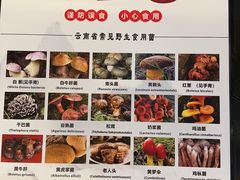 -一朵菌·野生菌探索家火锅(南亚店)