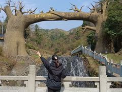 -梅岭月亮湾山体公园