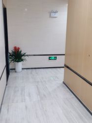 -雍禾植发