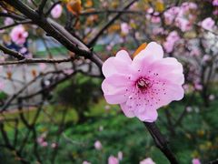 -复旦大学（邯郸校区）南区餐厅