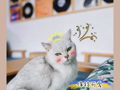 -她说户外烧烤团建(西湖店)