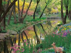 -上海共青森林公园