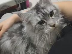 -联合动物医院(光谷诊疗中心)