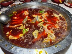 -蜀滋香鲜鱼美蛙火锅(339店)