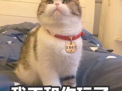 -Gucci(首创奥特莱斯店)