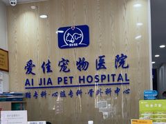 -爱佳宠物中心医院24H·CT·骨外科·猫专科(瑶海万达店)