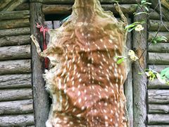 -峡谷浮石林景区