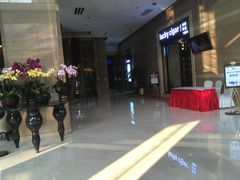 -长沙小天鹅戴斯酒店