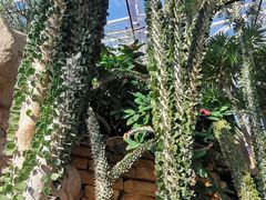 -北京植物园-展览温室