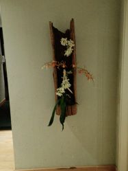 -香秀空间科技抗衰·美容中心