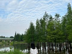 -白鹭湾湿地公园