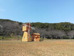 -苏州上方山国家森林公园