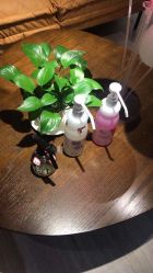 -Cocodemer 产后恢复中心(多伦路店)