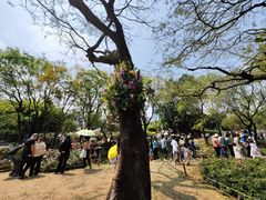 -人民公园(罗湖区)