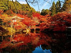 -醍醐寺