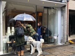 -% Arabica(京都东山店)