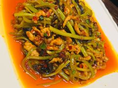 鱼香肉丝-陈麻婆豆腐(旗舰店)