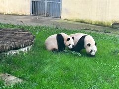 -西安秦岭野生动物园