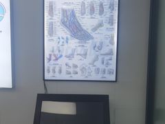 -Andrew指甲专科灰指甲·甲沟炎矫正·3D步态矫形鞋垫定制(上海法华镇路旗舰店)