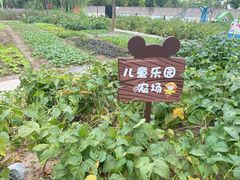-上海山野camping·户外天幕烧烤·团建拓展营地