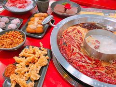 -谭鸭血老火锅(七宝万科广场店)