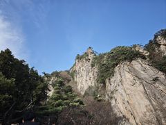-王顺山国家森林公园