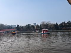 -南山公园