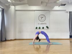 点击看大图 -亚太瑜伽普拉提学院