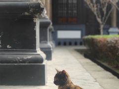 -平安桥天主教堂