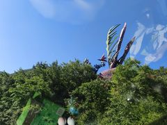 -朱雀国家森林公园