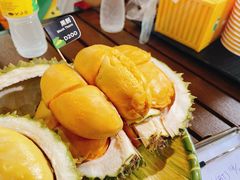-榴莲BB 四季果园