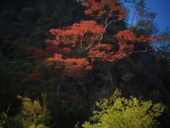 -温州永嘉书院