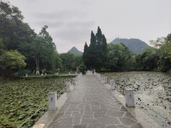 -花溪公园