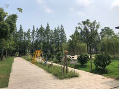 -前小桔亲子创意农场·草莓采摘·露营烧烤
