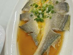 肉饼清蒸黄花鱼-渔意楼·驰名沙田乳鸽(五羊店)