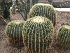 -南山植物园