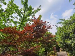 -九龙潭景区